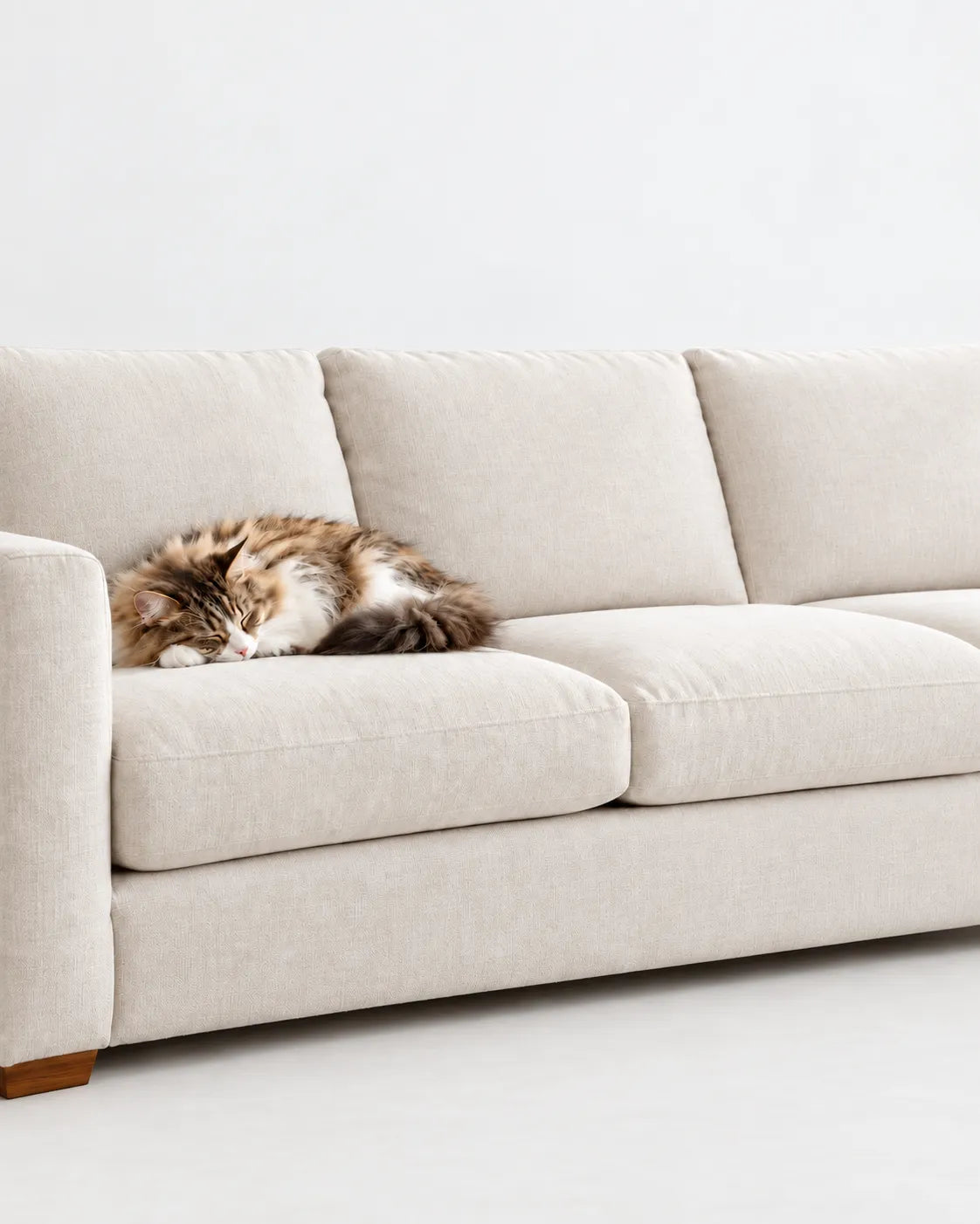 A hair remover lifting fur from a fabric sofa
